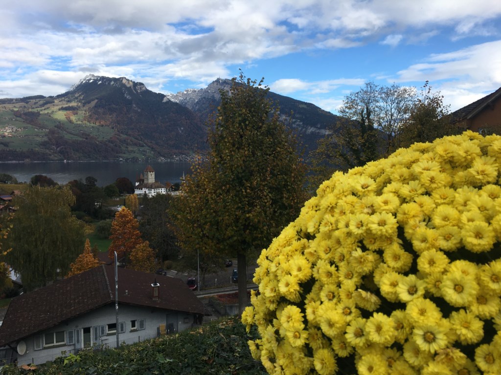 SPIEZ